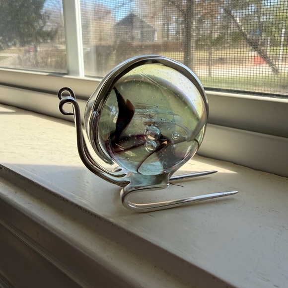 Marble Fork Snail - Picture 10 of 10